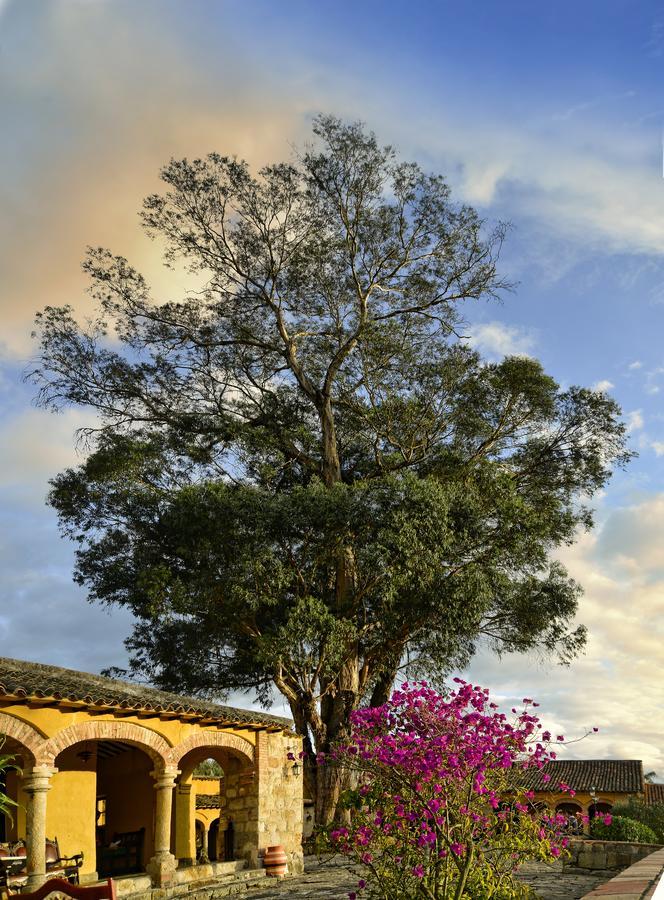 Hotel Hacienda El Salitre 派帕 外观 照片